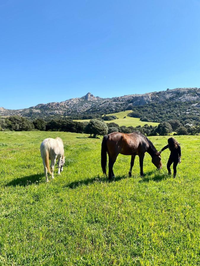 Agriturismo Lu Branu Arzachena Exterior foto